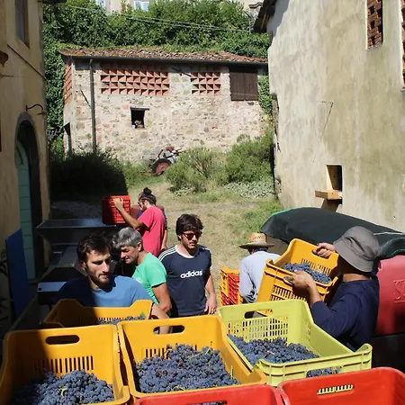 Летний дом Azienda Agricola Fabbrica Di San Martino