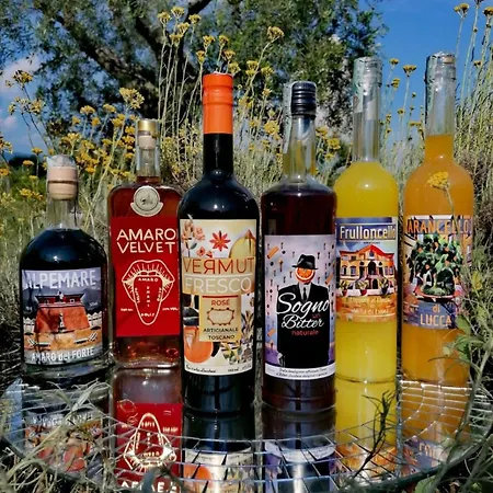 Azienda Agricola Fabbrica Di San Martino Летний дом Лукка