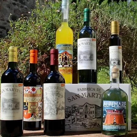Azienda Agricola Fabbrica Di San Martino Лукка