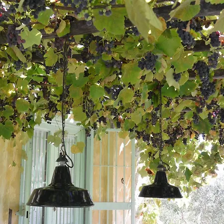 Country house Azienda Agricola Fabbrica Di San Martino
