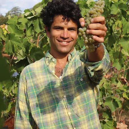 Azienda Agricola Fabbrica Di San Martino Летний дом *