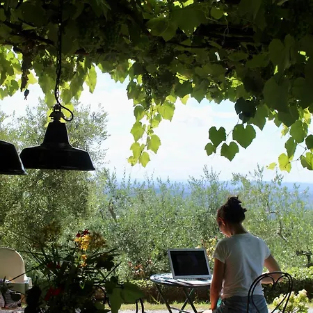 Azienda Agricola Fabbrica Di San Martino *