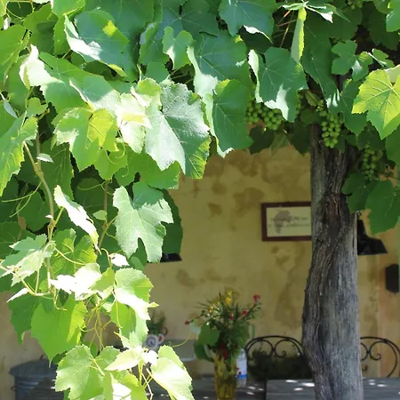 Azienda Agricola Fabbrica Di San Martino