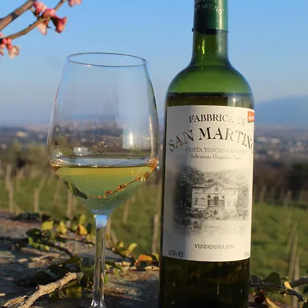Летний дом Azienda Agricola Fabbrica Di San Martino Лукка
